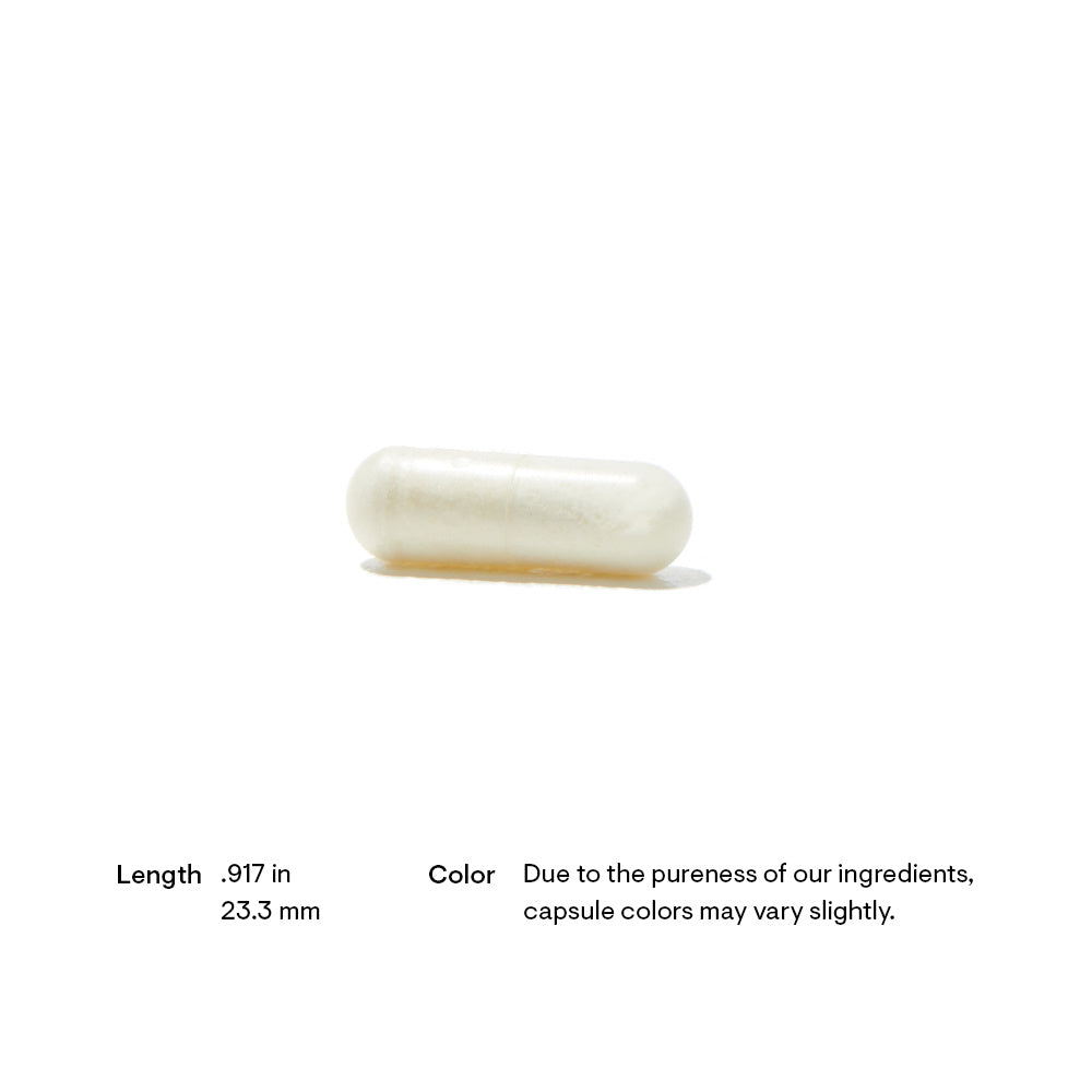 SD405 Advanced Digestive Enzymes - Image 2