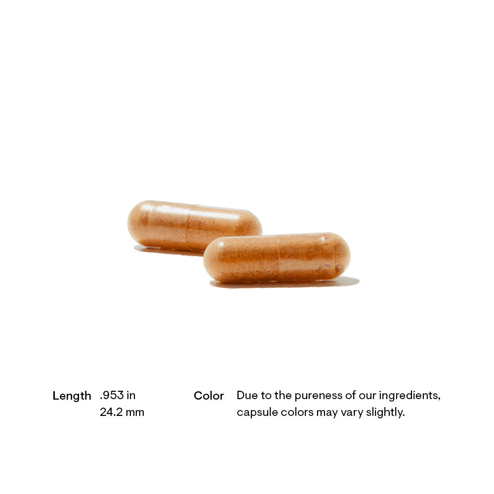 SF751 Red Yeast Rice + CoQ10 - Image 2