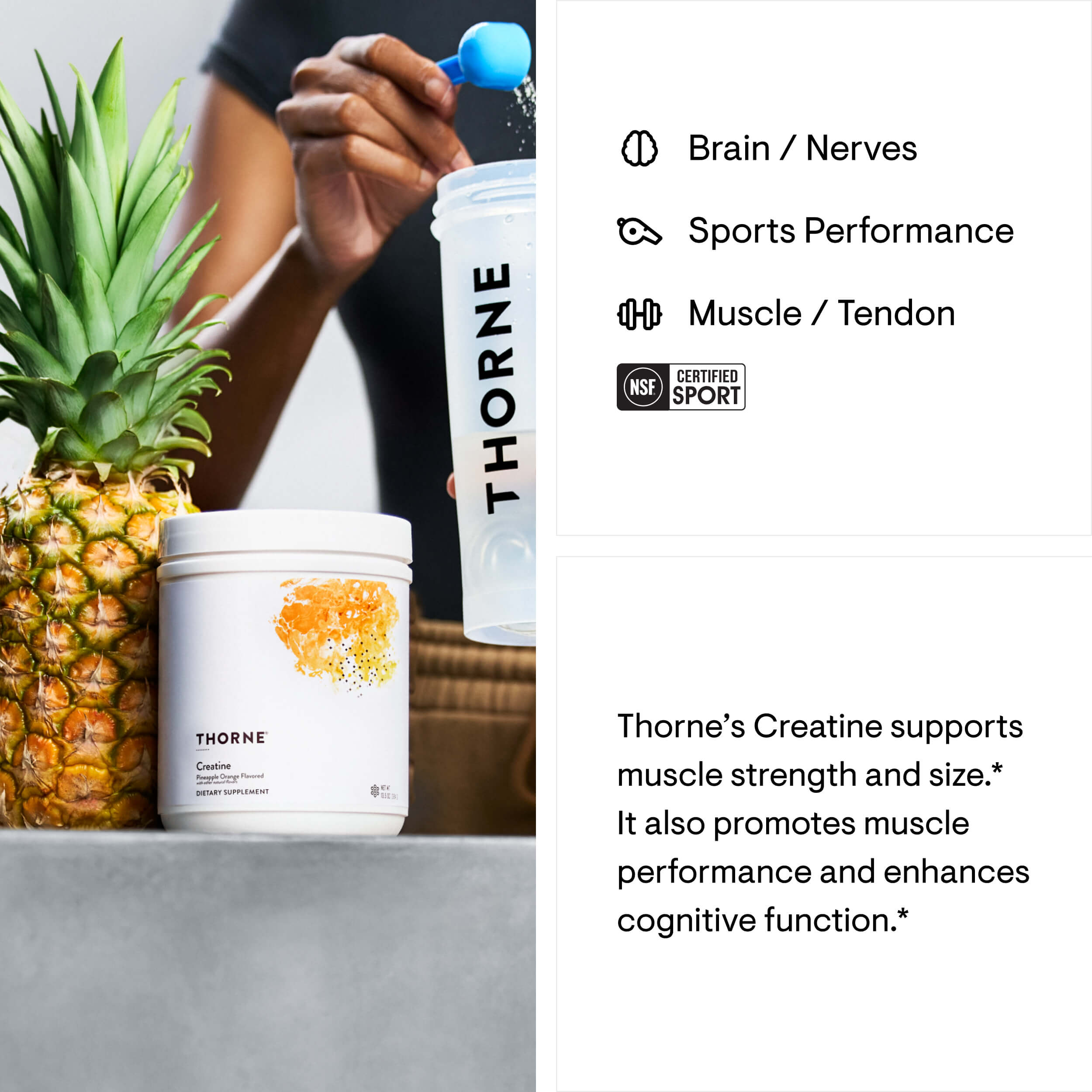 SF906 Creatine - Pineapple Orange - Image 2